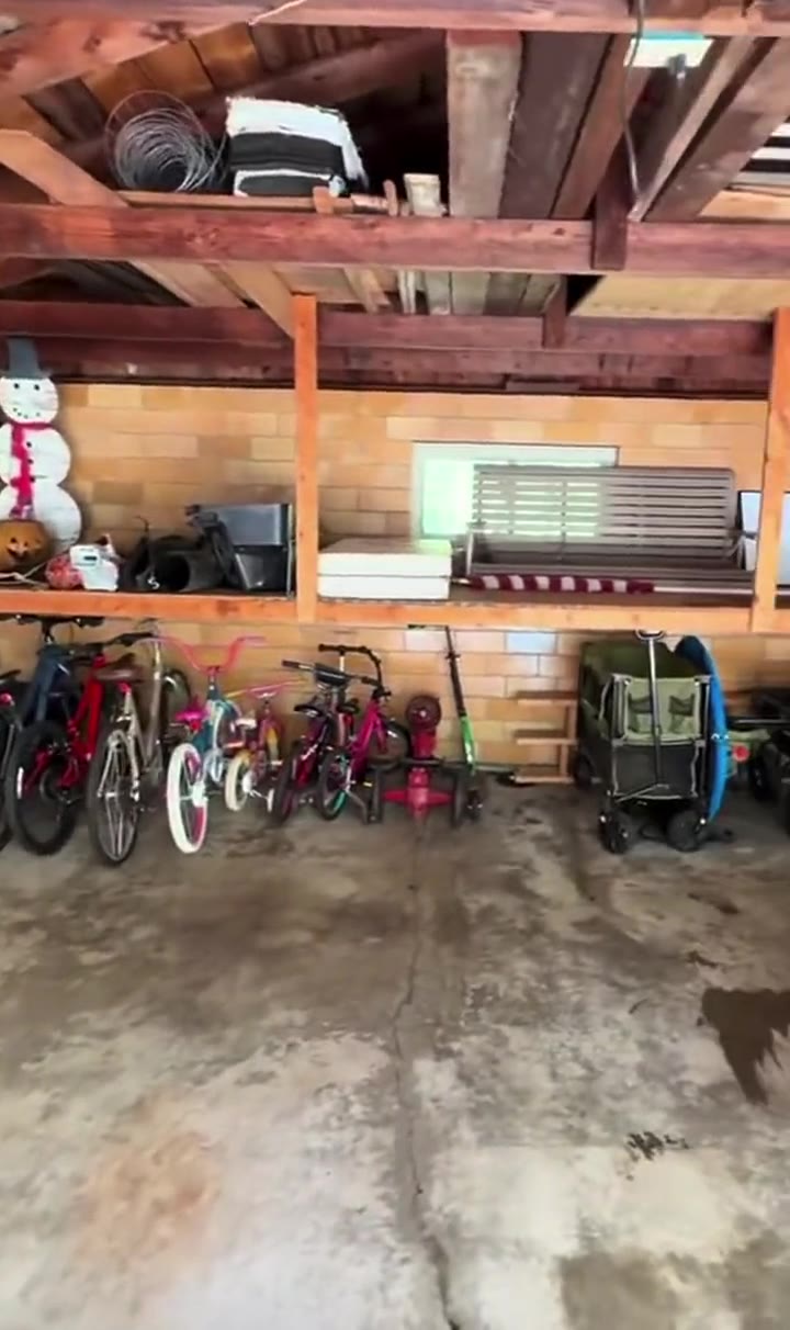 The garage after: cleared floor, bikes lined up, shelves organized